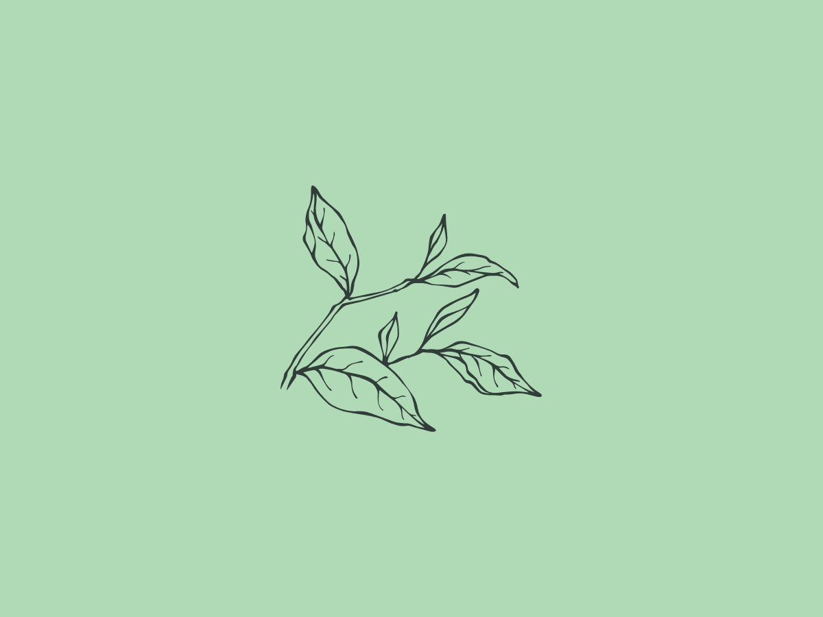 Green background with black tea leaves in the middle