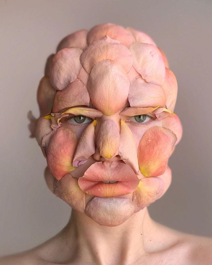 foto de perfil de uma mulher branca coberta com pétalas de flores nos tons rosa claro e pêssego de sua pele. as pétalas estão dispostas de maneira a mostrar as feições humanas: boca, nariz, olhos, sobrancelha, bochechas e testa. a sensação é de como ver uma mulher branca meio desfigurada