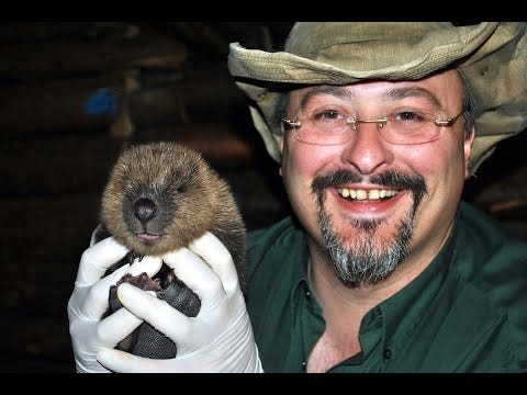 The seals and beavers that will rewild Sussex, a talk by Peter Smith The seals and beavers that will rewild Sussex, a talk by Peter Smith