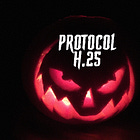 Protocol H.25