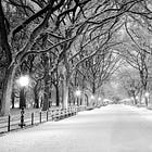 That winter storm and antifragility