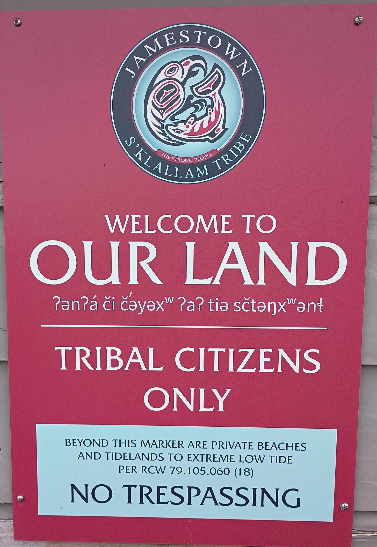 IMG_20260412_075003398.jpg IMG_20260412_075003398.jpg