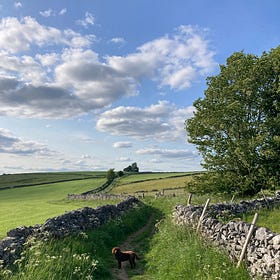 Tideswell Dale // Wakes cakes, carnivals... and saints?