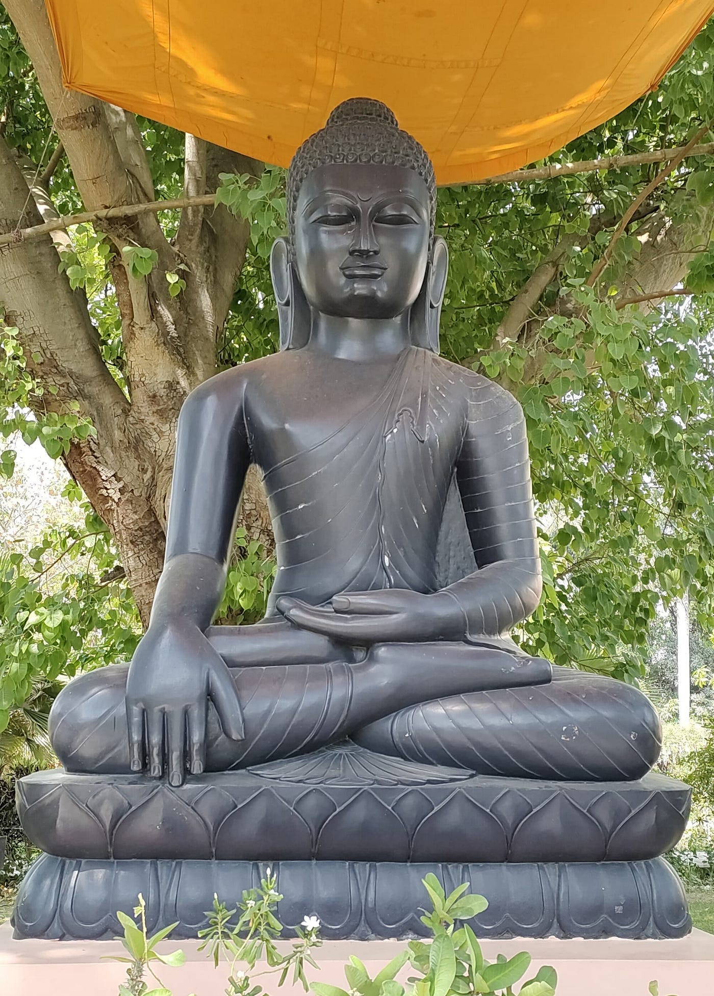 Picture of Buddha Picture of Buddha