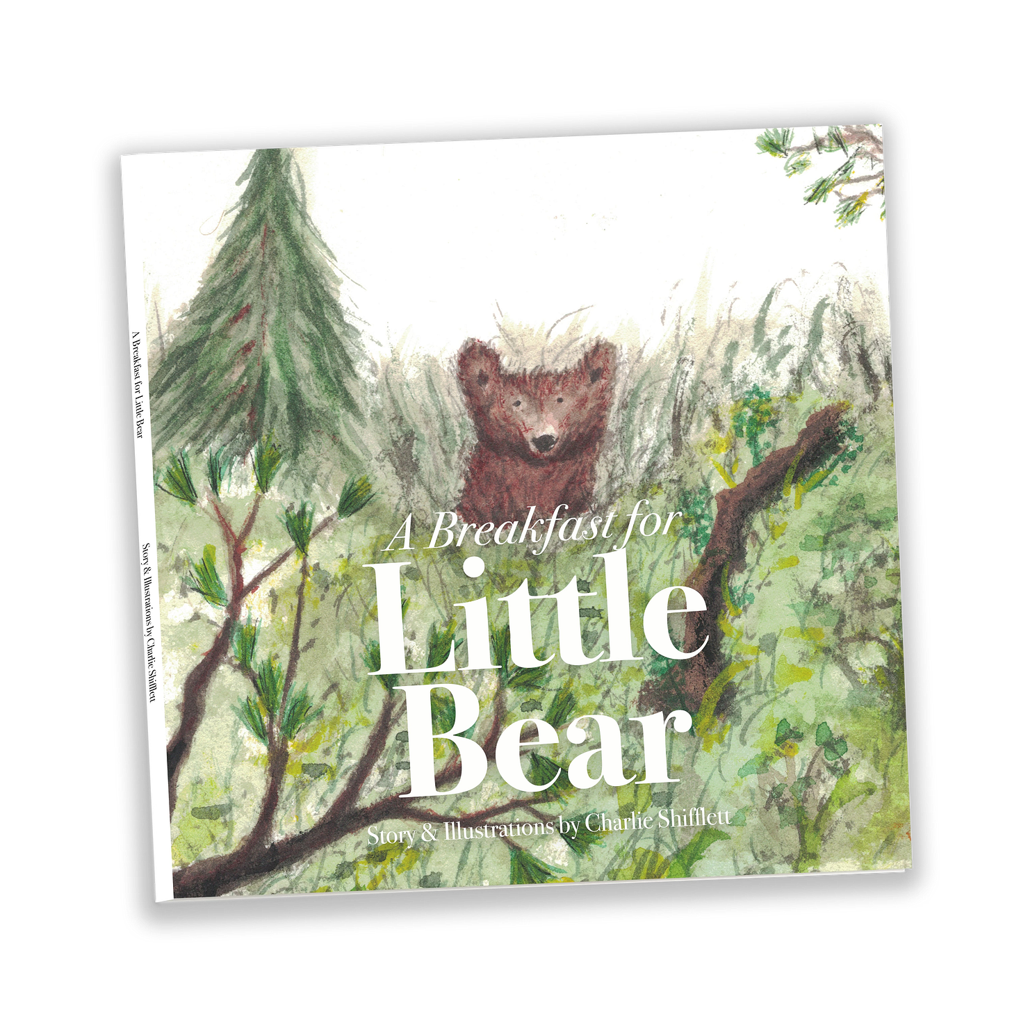 Draft cover image for A Breakfast for Little Bear