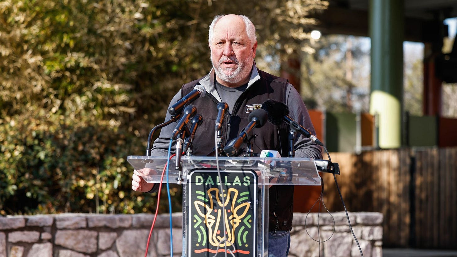 Gregg Hudson, Dallas Zoo president and CEO, during a news conference at the Dallas Zoo on...