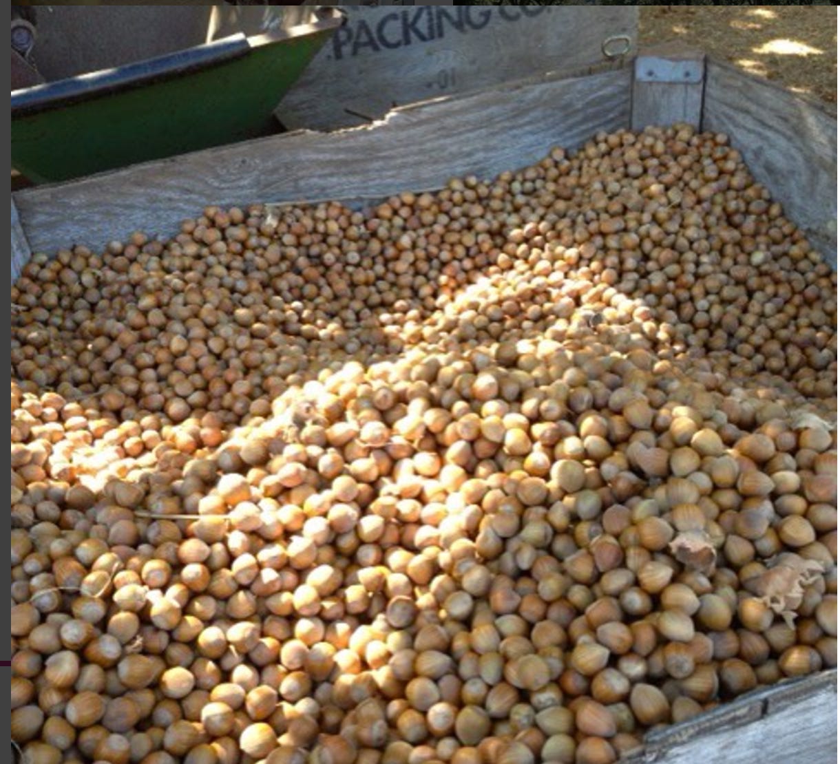 screen-shot-2016-12-01-at-8-10-19-pm screen-shot-2016-12-01-at-8-10-19-pm