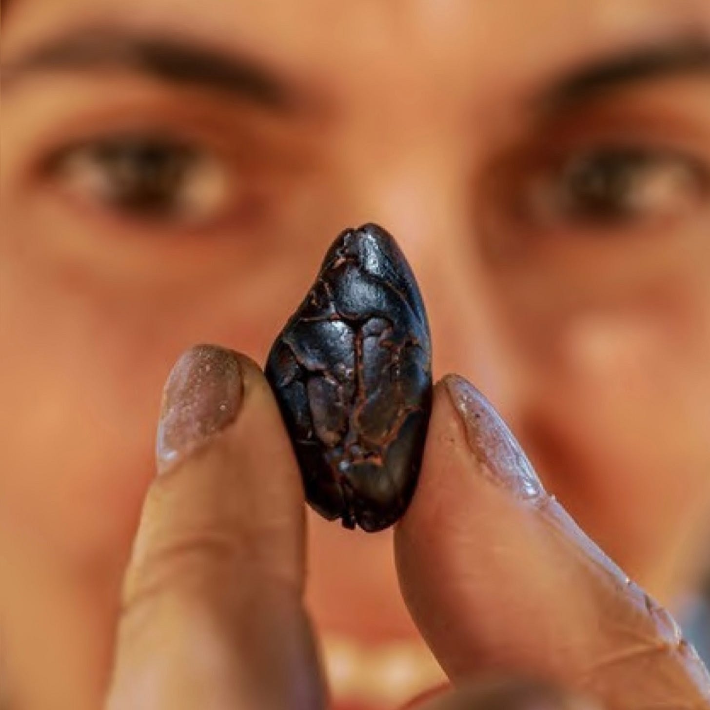 Fingers holding a cacao bean with blurry eyes in the background