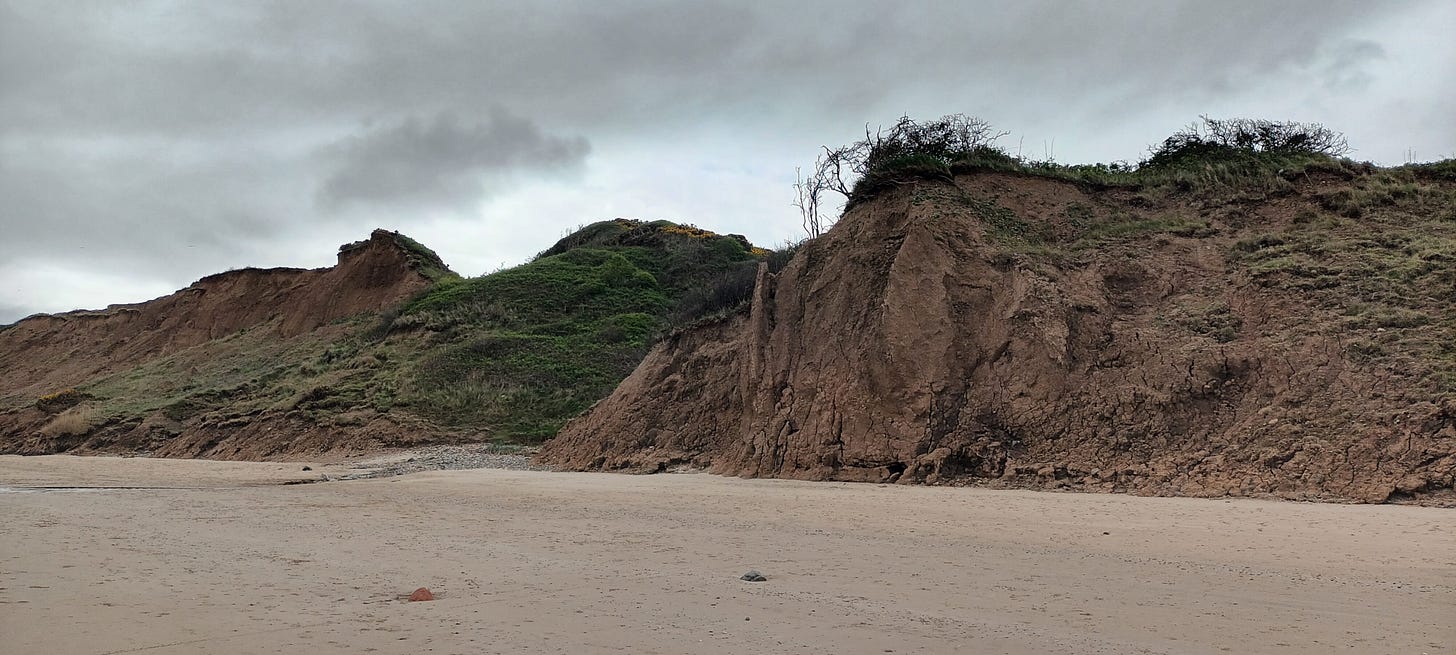 Clay cliffs near to Filey