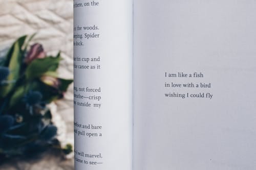 Explore your personality and growth with introspective writing