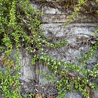 Quick Notes to Chapter Notes