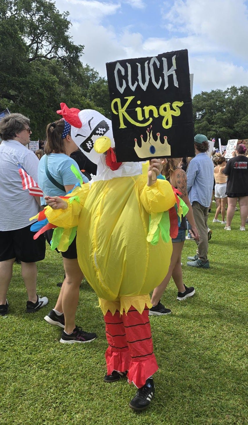 A person in a chicken suit holding an American flag and a sign that reads "Cluck Kings" in stylized letters above a crown. They are in front of a crowd of protesters in what appears to be a park. A person in a chicken suit holding an American flag and a sign that reads "Cluck Kings" in stylized letters above a crown. They are in front of a crowd of protesters in what appears to be a park.