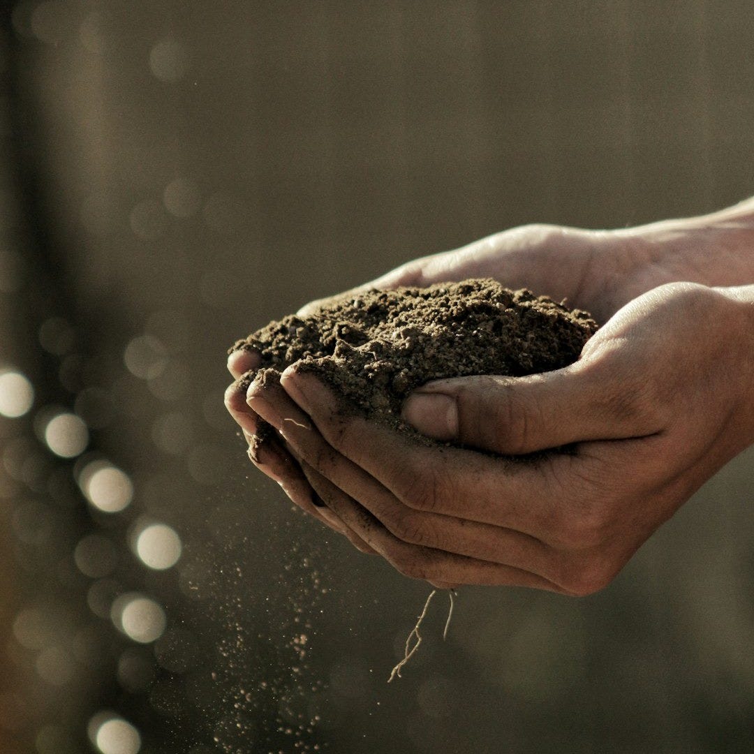 bokeh photography of person carrying soil