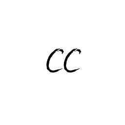 Cultural Convergencces logo