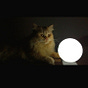 Ahd.mohamed's avatar