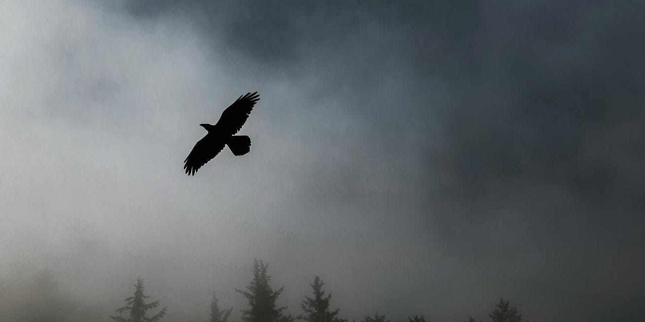 songbird's call