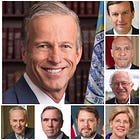 Majority Leader John Thune shares his list of 'Trump Derangement Syndrome' Democrats