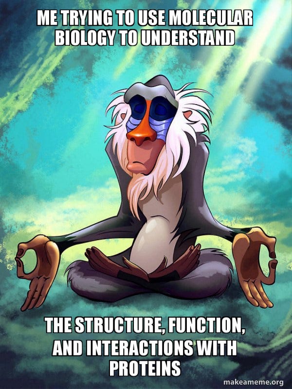 me trying to use molecular biology to understand the structure, function,  and interactions with proteins - Rafiki Meditating - Lion King Meme  Generator