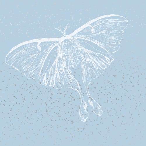 The Road to Elsewhere