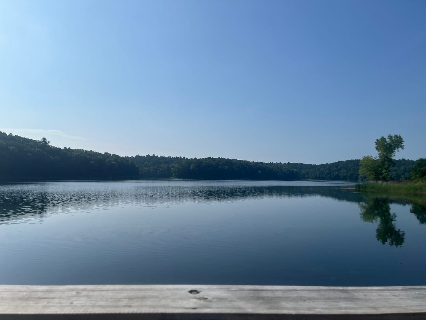 Photo of a wooded lake beneath a blue sky.