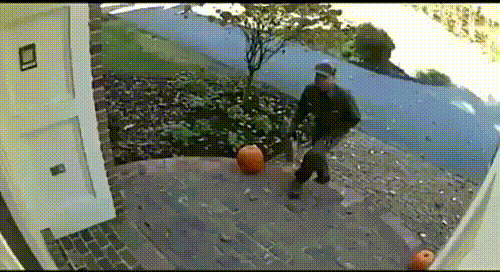 Delivery GIF Delivery GIF