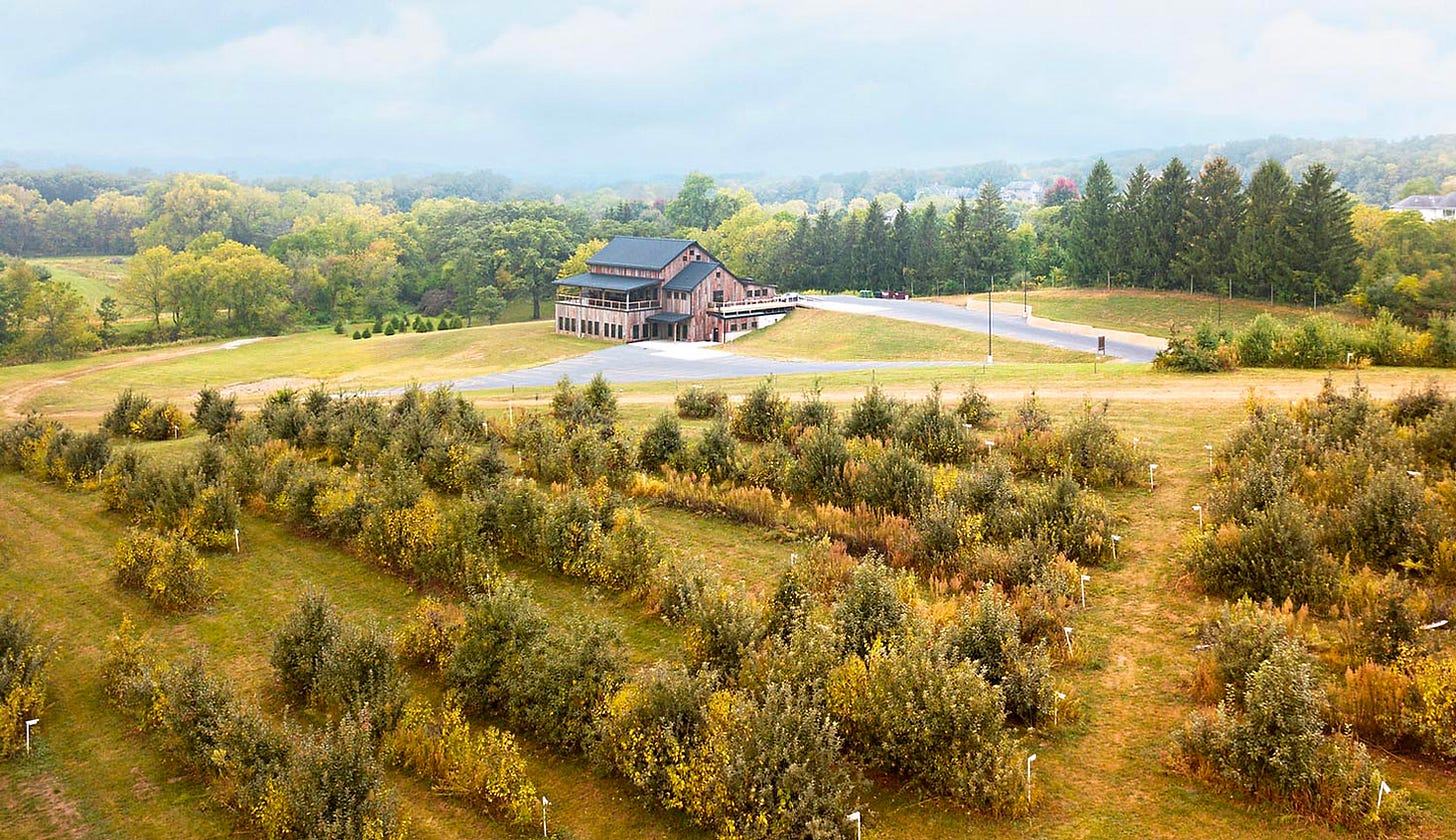 wilson's orchard