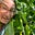 Fern In The Corn's avatar