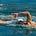 Multisplash Swim Workouts's avatar