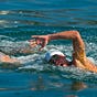 Multisplash Swim Workouts's avatar