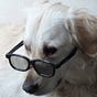 Simon Baijens's avatar