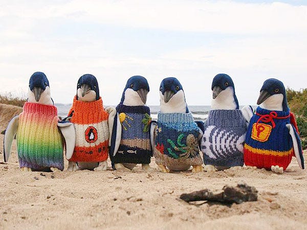 The one in the knitted Penguin Books sweater is amusing.