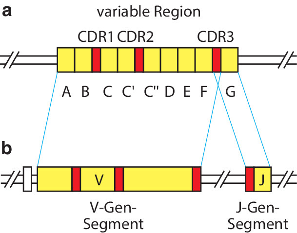 graphic file with name 978-3-662-56004-4_5_Fig2_HTML.jpg