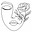 Jenna Sasser's avatar