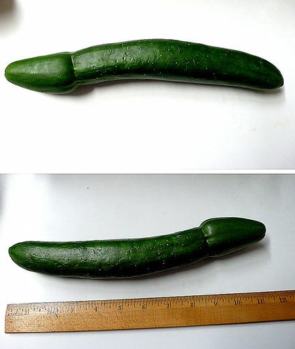 cucumber aka "jolly green giant" cucumber aka "jolly green giant"