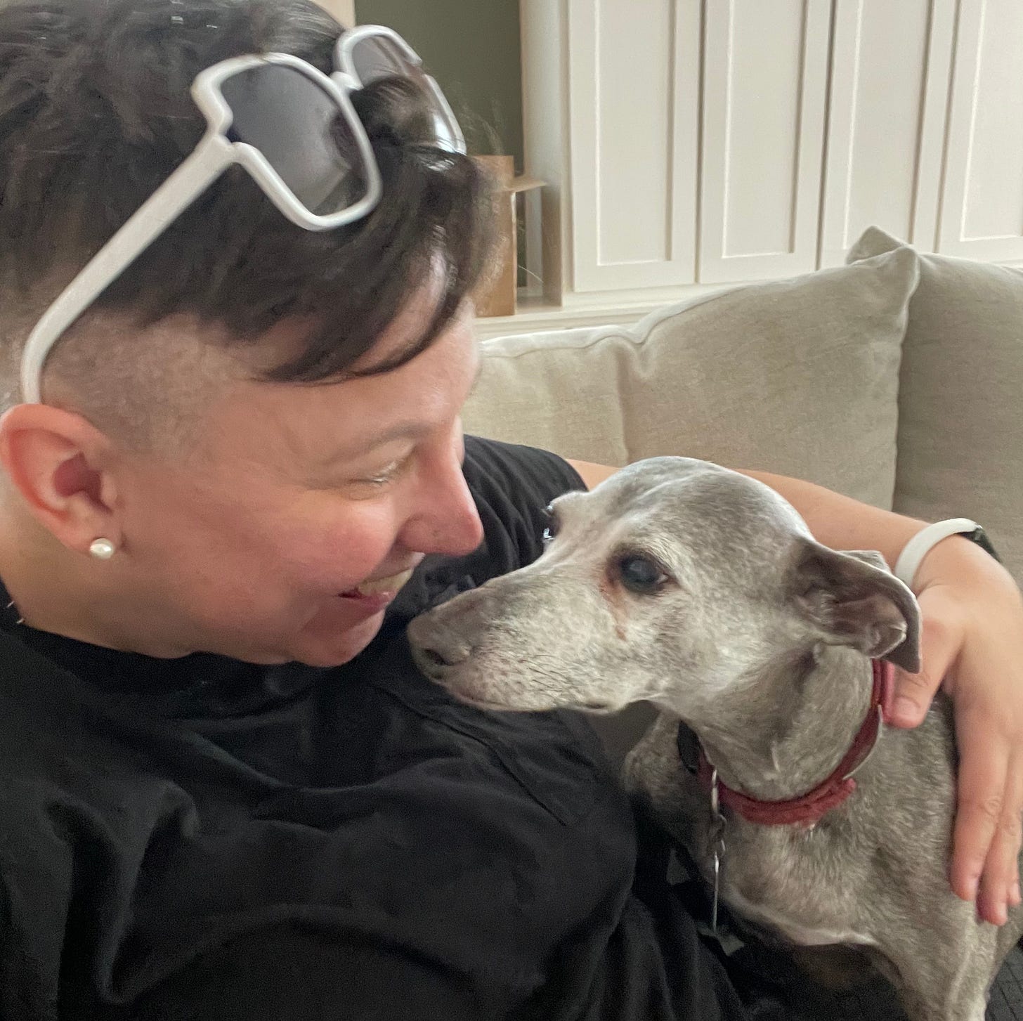 An up close photo of a  30 something woman with sunglasses on her head hugs an elderly Italian greyhound with a red collar.