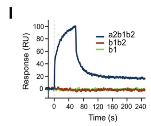 A graph of a response

AI-generated content may be incorrect.