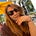 Andreea Ferigeanu's avatar