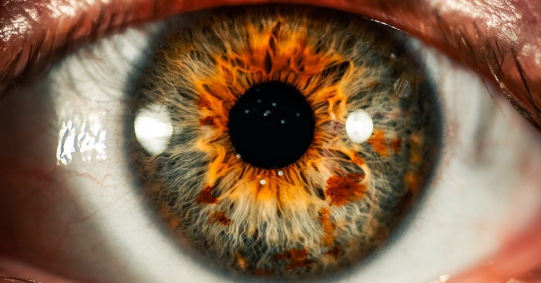 brown and black fur on white ceramic plate