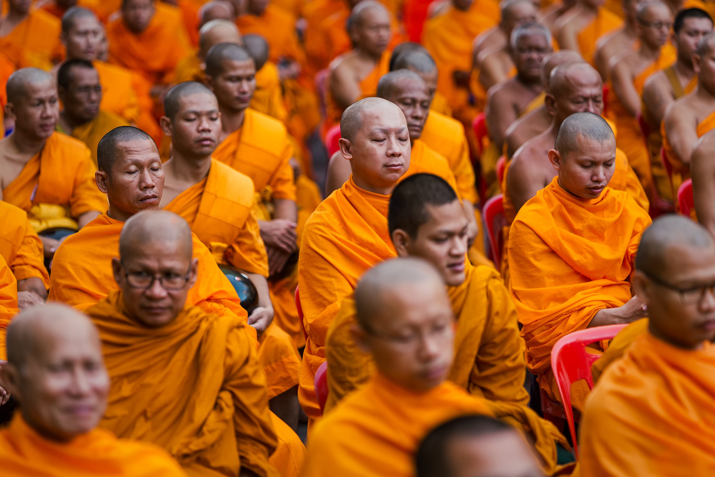 After processing with Kodachrome II profile After processing with Kodachrome II profile