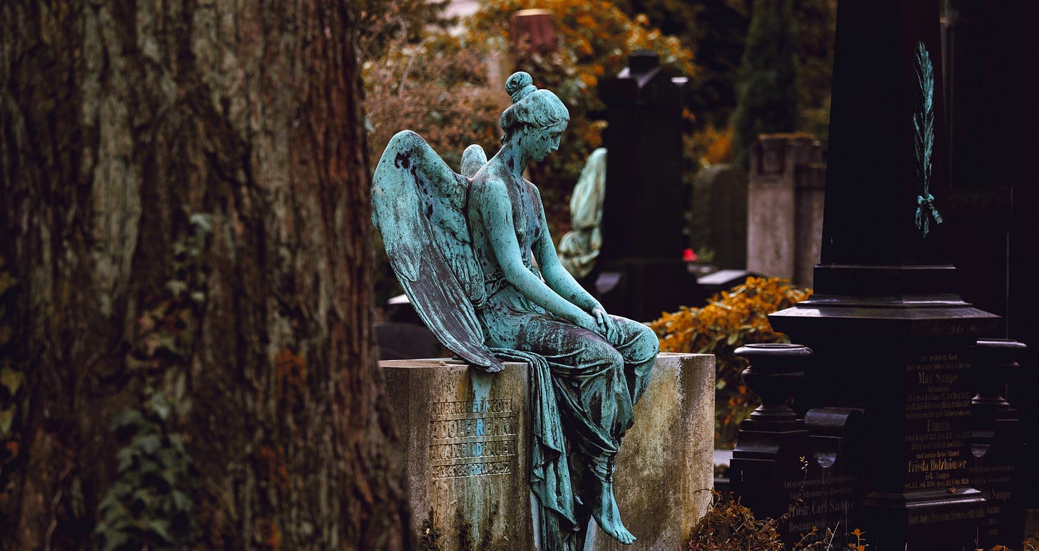 angel sitting, viet hammer, michelle cowles