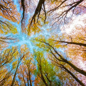 🍂 Automne