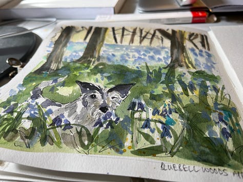 Examples from a Brush & Wander Session with Jo Scott