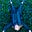 Kazza Roo's avatar