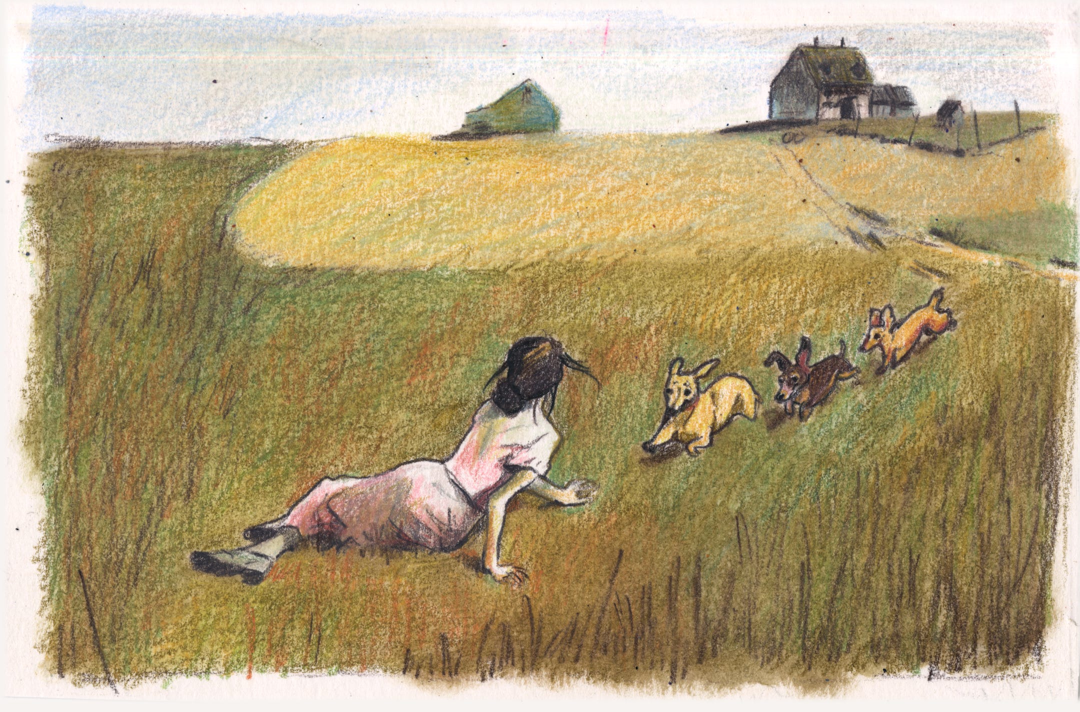 The Uselessness of Dachshunds