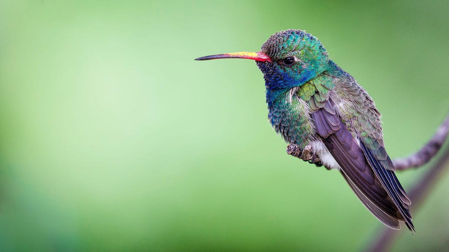 Photo by Philip Brown on Unsplash Photo by Philip Brown on Unsplash