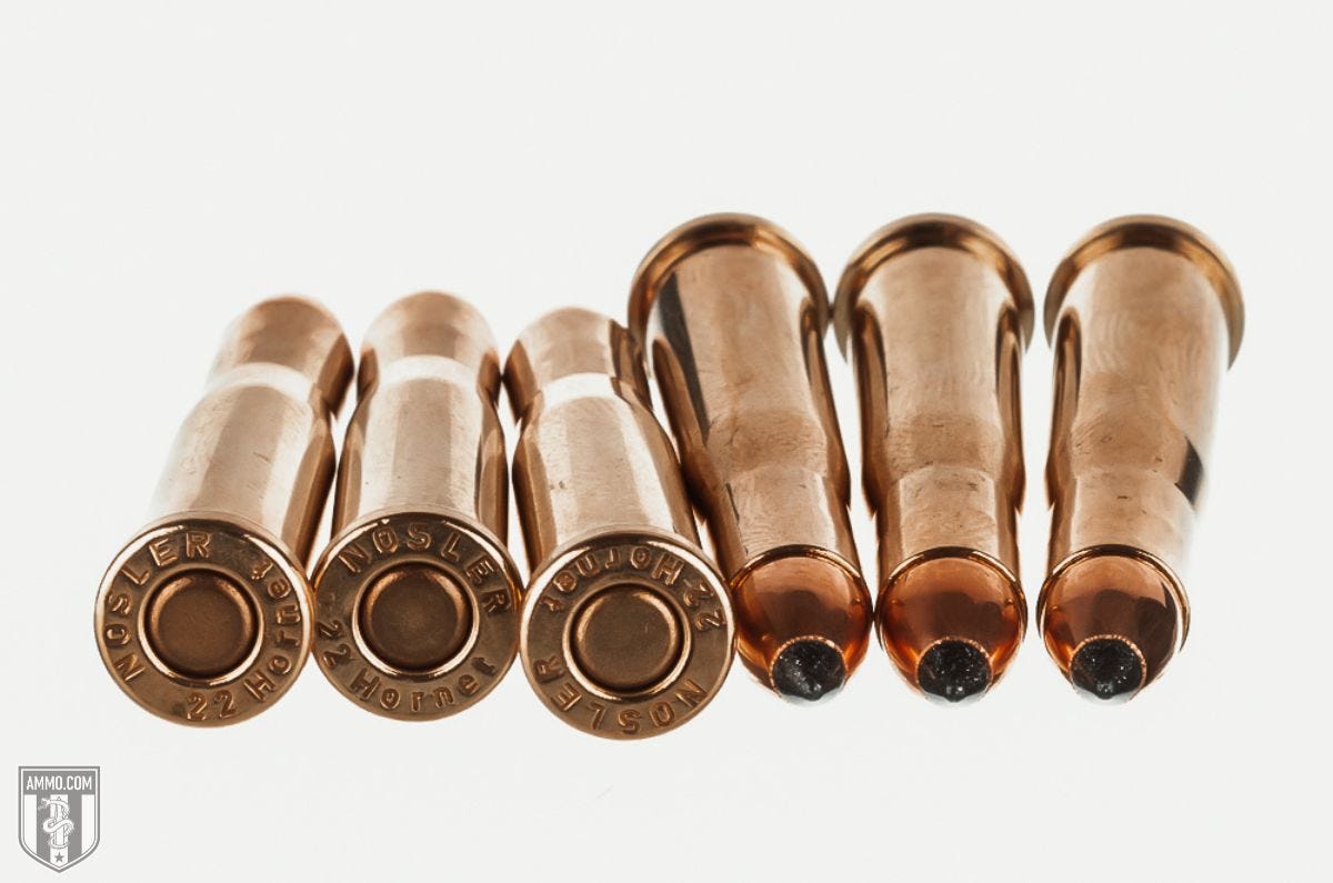 22 Hornet ammo for sale