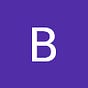 Bruno BERTHELEMY's avatar