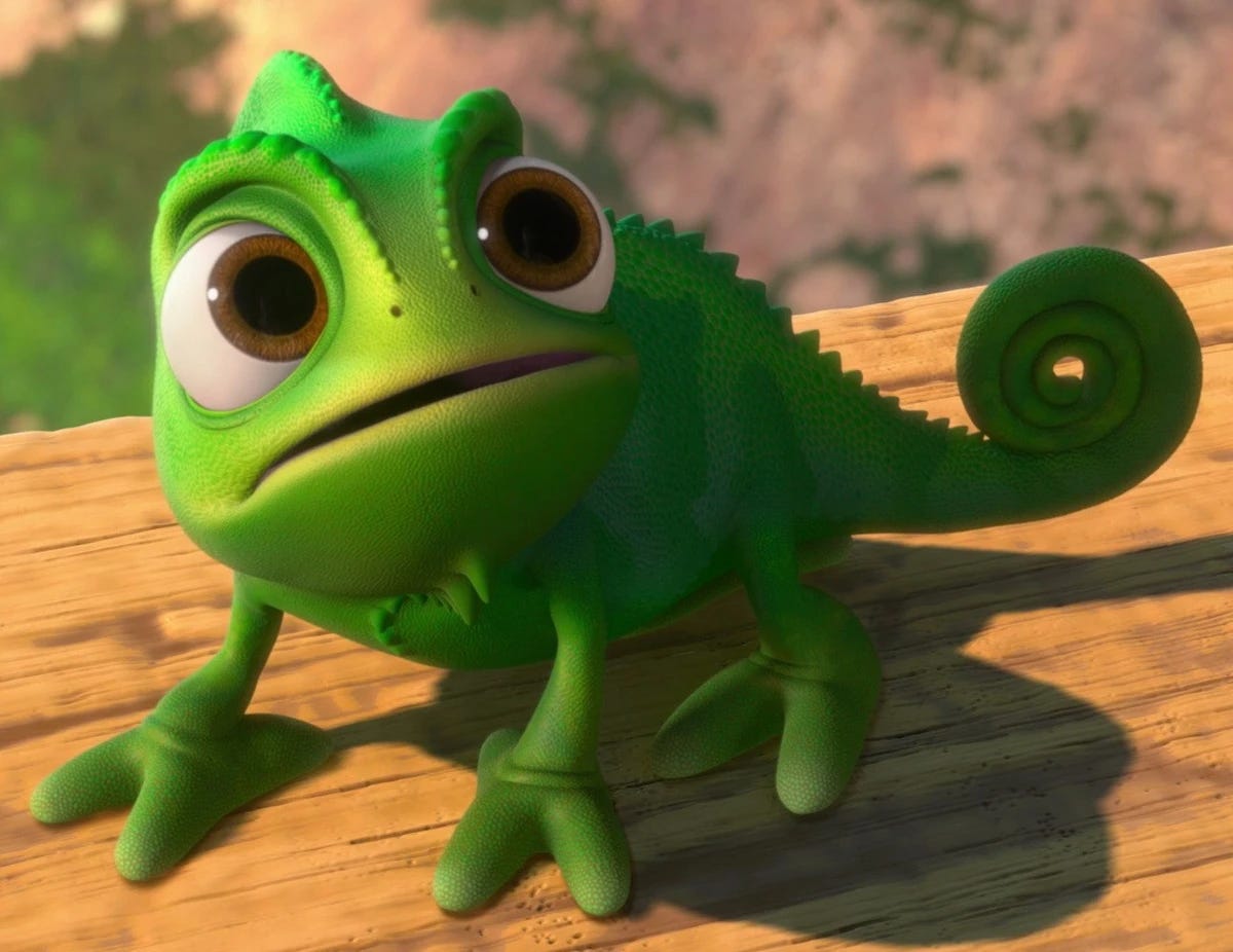 OK, so Pascal is a chameleon and not an iguana. 