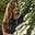 Maggie Williams's avatar