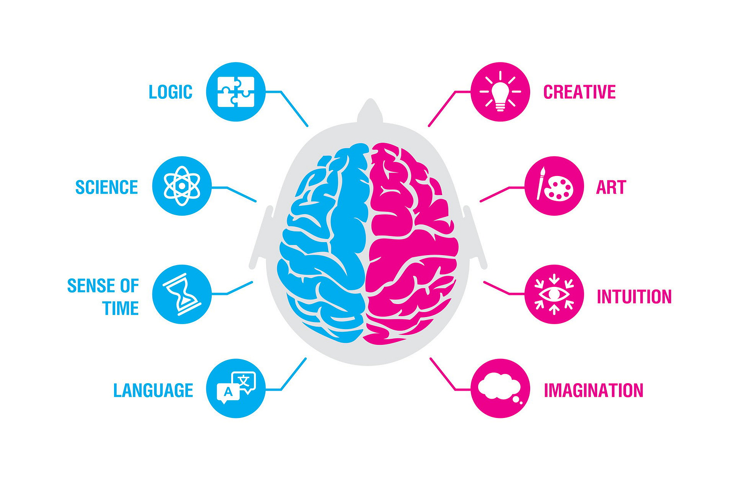 Left Brain vs. Right Brain: hemispheric dominance